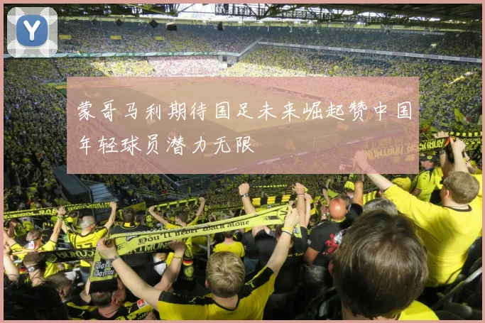 蒙哥马利期待国足未来崛起赞中国年轻球员潜力无限